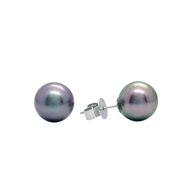 18K White Gold Black South Sea Pearl Stud Earrings