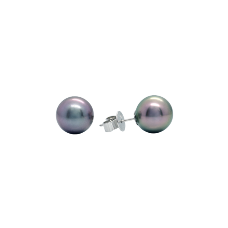 18K White Gold Black South Sea Pearl Earrings